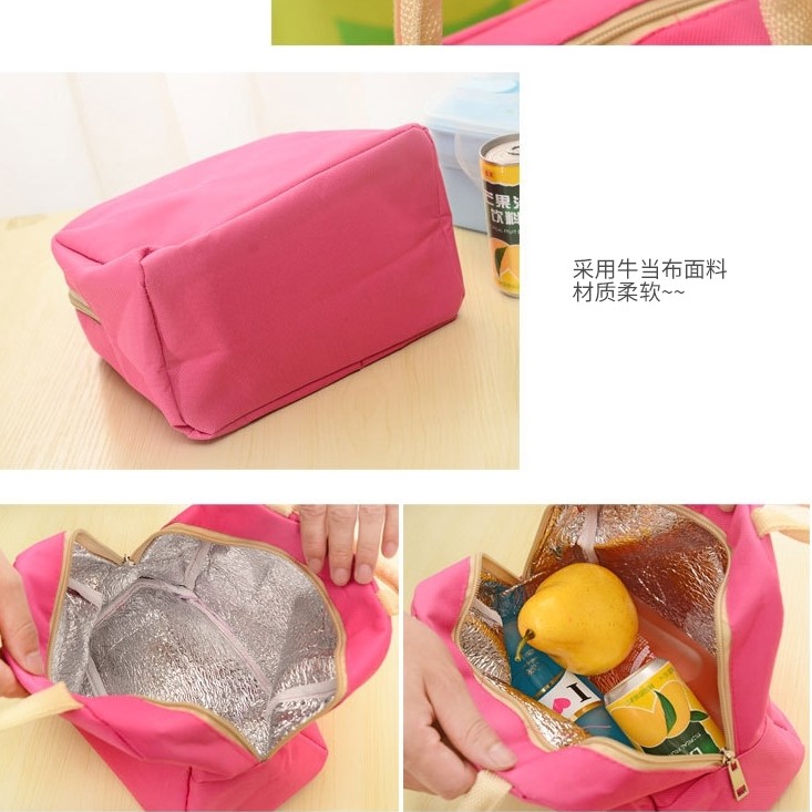 Tas Bekal Karakter / Insulated Lunch Bag Cooler / Tas Bekal Sekolah Piknik Rekreasi / TS-8