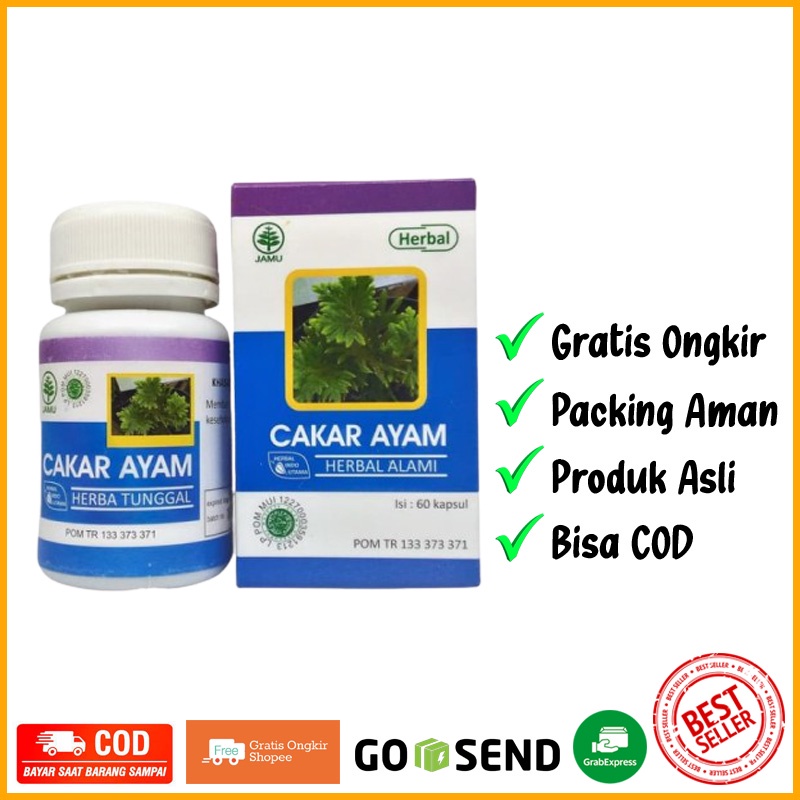 HIU CAKAR AYAM Obat Mimisan, Batuk, Pendarahan