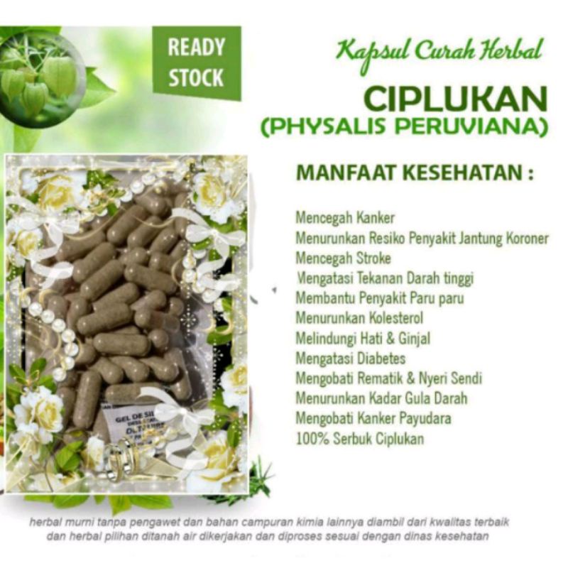 KAPSUL EKSTRAK CIPLUKAN