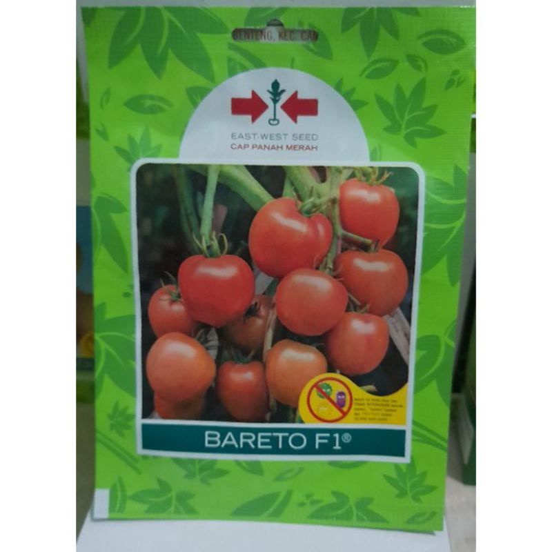 Tomat Bareto F1 isi 150 Butir