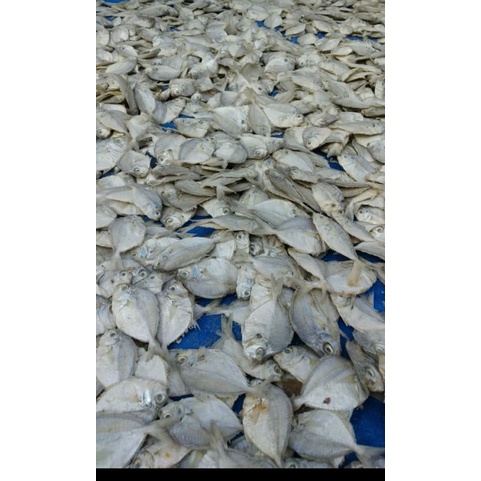

Ikan Asin Gereh Petek 250 g