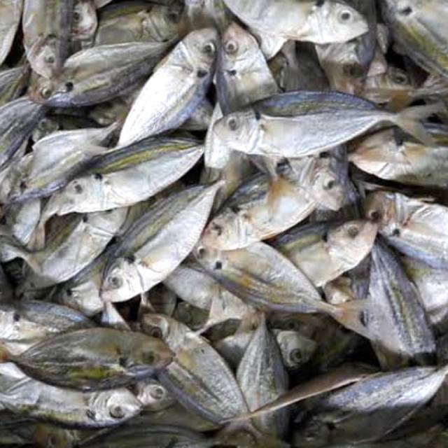 

IKAN ASIN SELAR SEDANG MENTAH 1kg