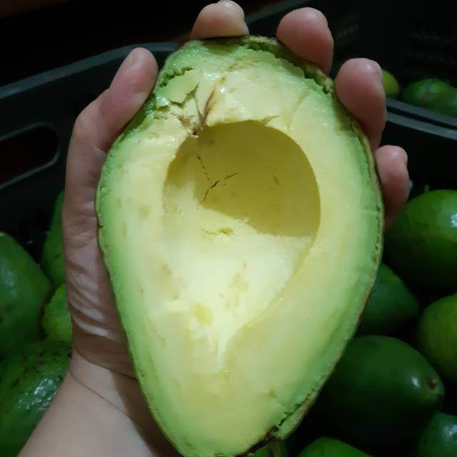 

Alpukat Mentega