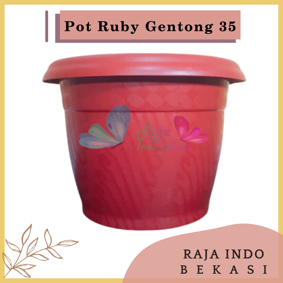 Pot Gentong VINCA 35 Coklat Merah Bata Terraccota Terakota Pot Tanaman Plastik Bunga Jumbo Besar Murah Grosir 40 cm Pot Tulip 45 20 30 Galaxy 25 40-Pot Bunga Putih 35 Strawberry | Pot Tanaman Plastik Besar