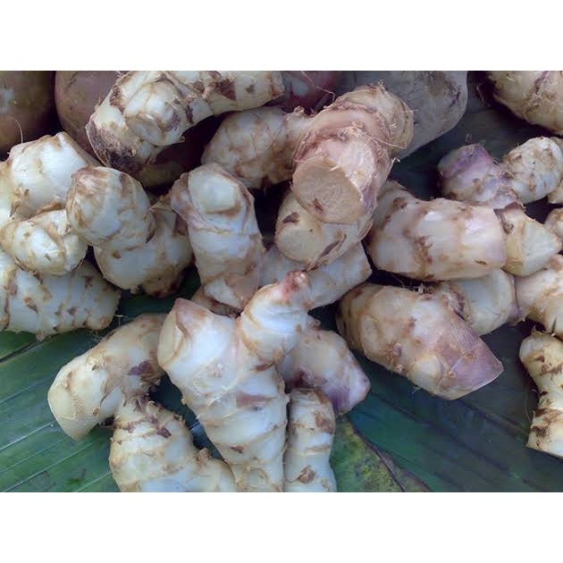 

Tepung Ganyong Organik kemasan 100 GRAM/Tepung Umbi Ganyong kemasan 100 GRAM/Tepung Ganyong Gluten Free Organik