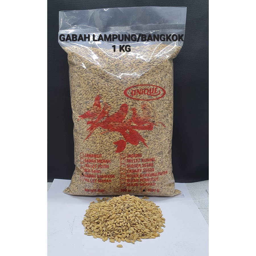 jual-gabah-bangkok-1-kg-gabah-lampung-shopee-indonesia