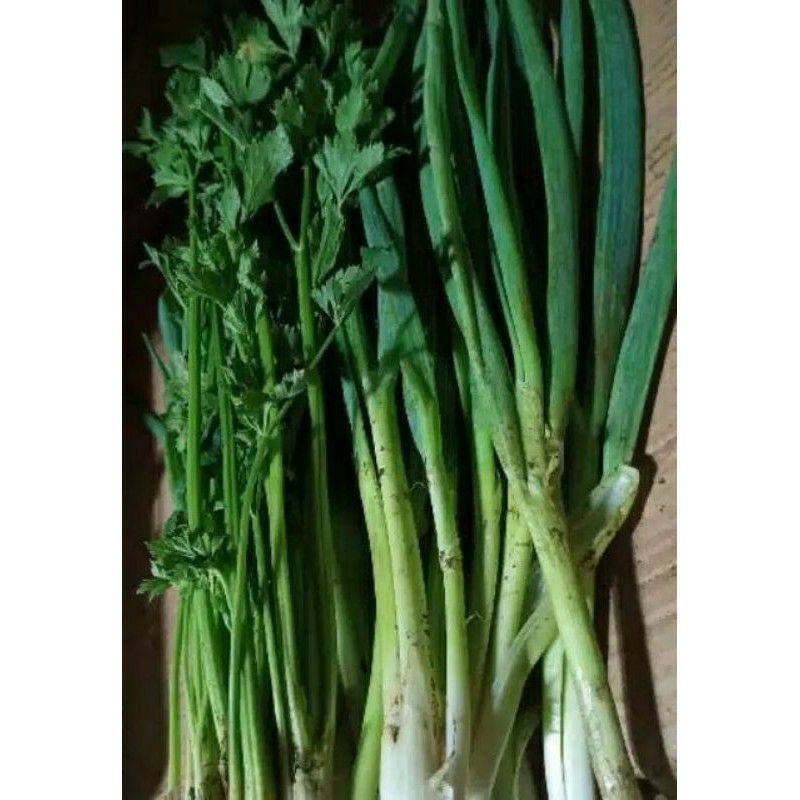 

Daun bawang seledri 250 gram