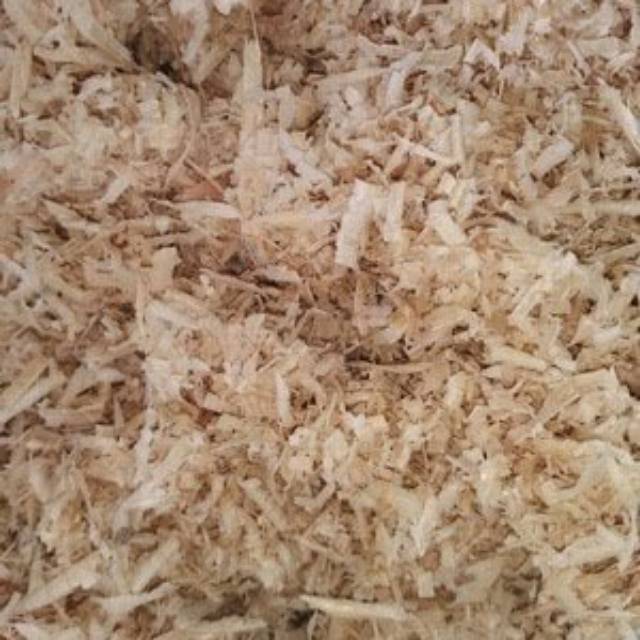  Serbuk  kayu  jati belanda pinus  putih untuk hamster landak 