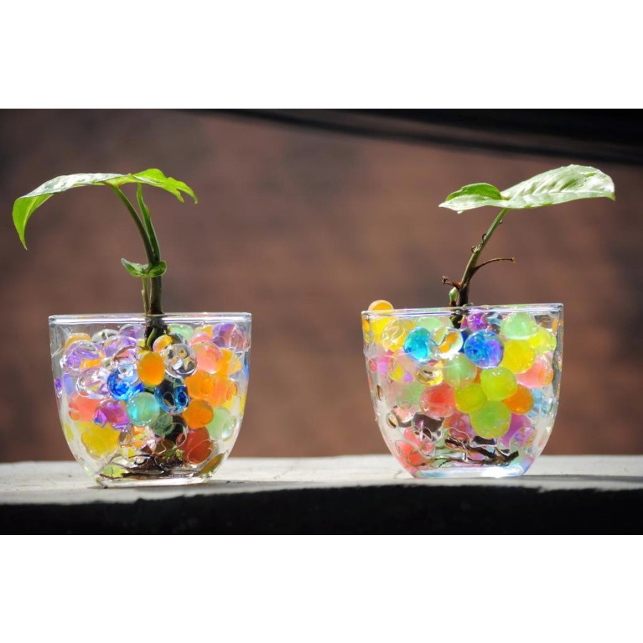Hidrogel ( dpt 6 pack total 12gr ) hydrogel mix clay soil pelangi tanah tanaman hias berkebun garden