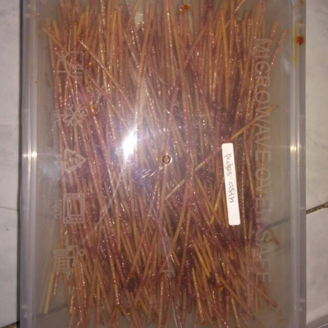 

Lidi kecil