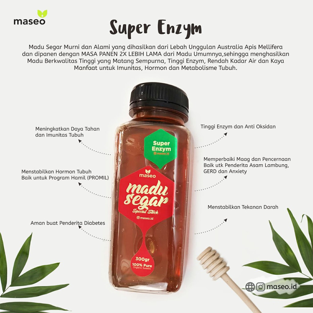 

MADU SUPER ENZYM 300gr MADU MASEO MADU SEGAR