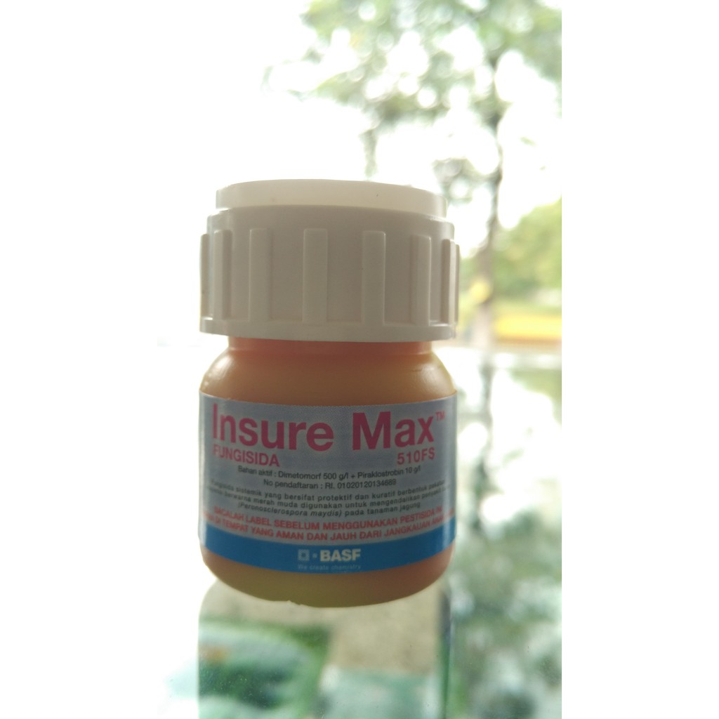 Fungisida Insure Max Perlakuan Benih Jagung