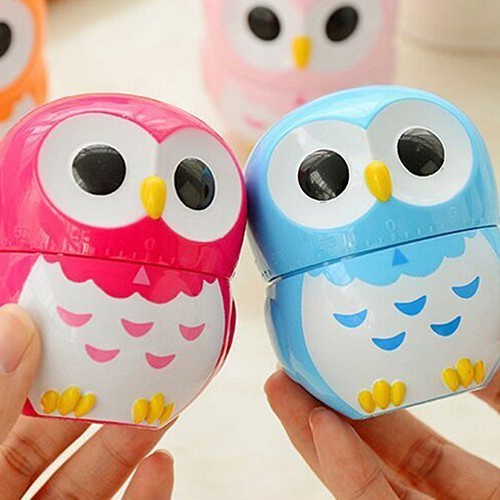 Sgmshop Owl Timer Putar Alat Hitung Waktu Baking Kue Cake Memasak Masak