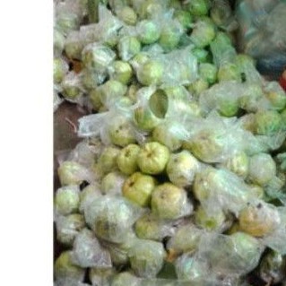 

Jambu Kristal Segar 1 kg