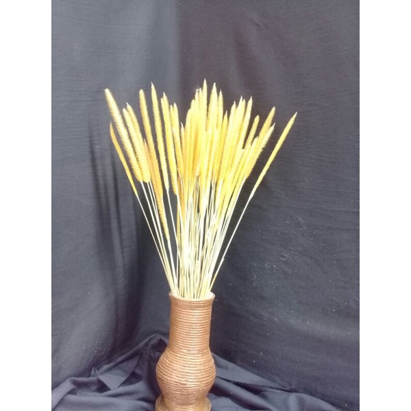 bunga kering bunga sataria/bunga kering dekorasi/bunga kering