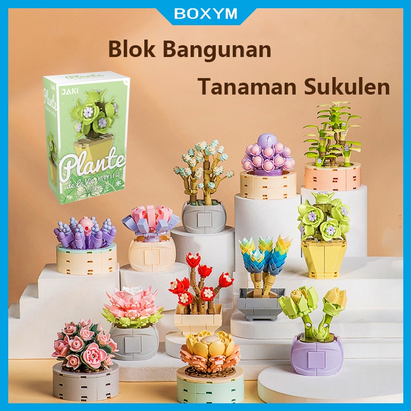 Pot Sukulen Bunga DIY Mini Flower Block / Mainan Kreatif Ruang Dekorasi Buket / Tanaman Kehidupan Ab