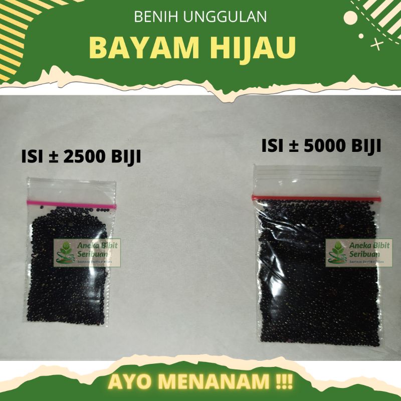 ±5000 biji - Benih bayam hijau Benih unggul Benua