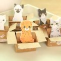 

Label note Kitty House - it / label note lucu imut ( Cat in box )
