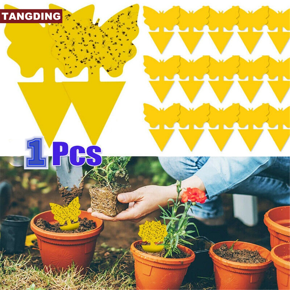 1pc Stiker Plat Kuning Perangkap Lalat / Nyamuk