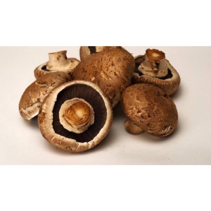 

Jamur Portobello Segar / Jamur Portobello Fresh
