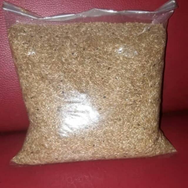 Kenari seed / kenari seed 1kg/ kenari seed/ pakan burung kenari