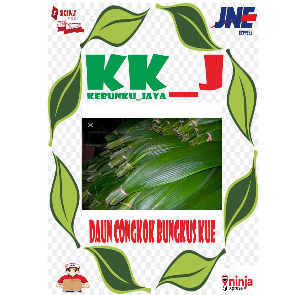 

DAUN CONGKOK BUNGKUS KUE PER 10 BIJI MURAH KEBUNKU_JAYA