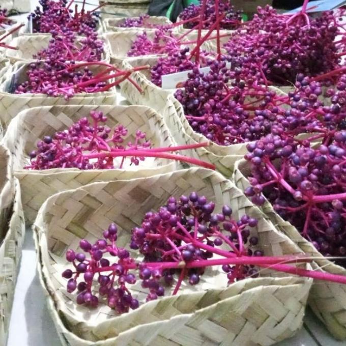 

⚡uper KejutanBuah Parijoto Untuk Promil FRESH Asli Muria Kudus Asli Buat Ibu Hamilpaling murah