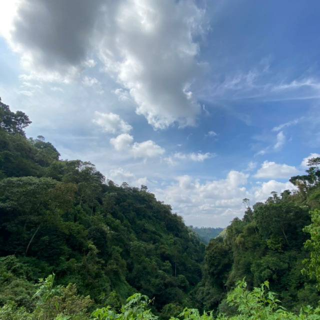 oktarinadewiwulandari