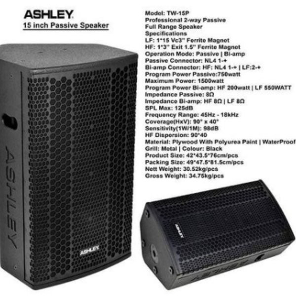 SPEAKER PASIF ASHLEY TW 15P TW15P 15 INCH ORIGINAL