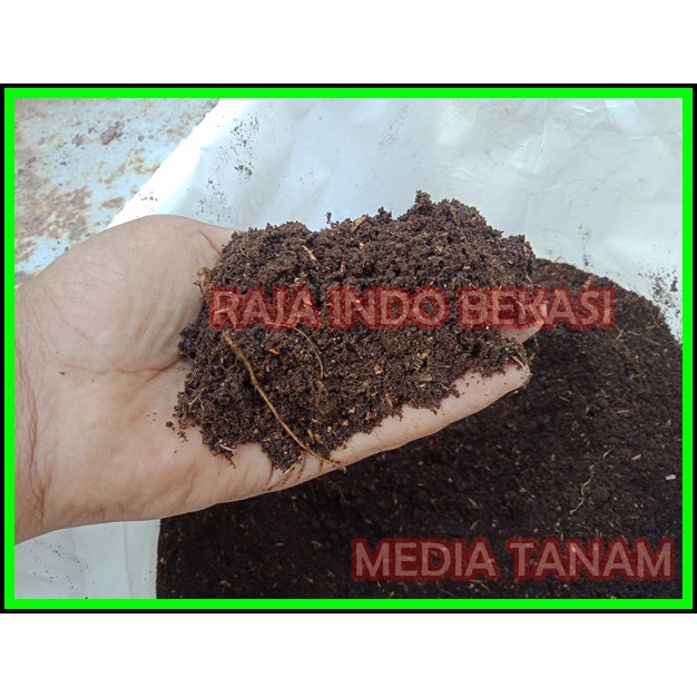 1KG Media Tanam Pupuk Organik Media Kaktus Sekulen Kamboja Adenium - Bukan Tanah Lembang Merah  Saja