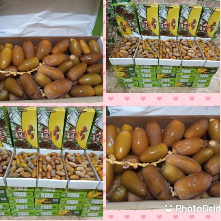 

Terlaris SHVQ9 kurma muda ruthob promil/kurma muda libya/kurma ruthob muda libya/kurma segar l/kurma