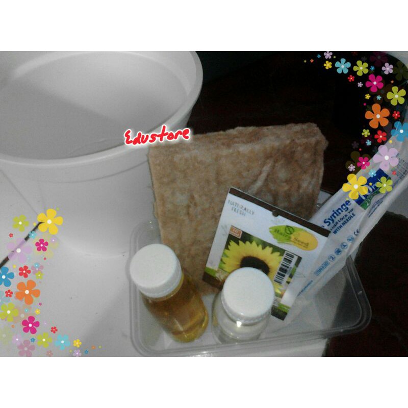 

Paket Hidroponik Bunga Matahari Pot 20 Cm