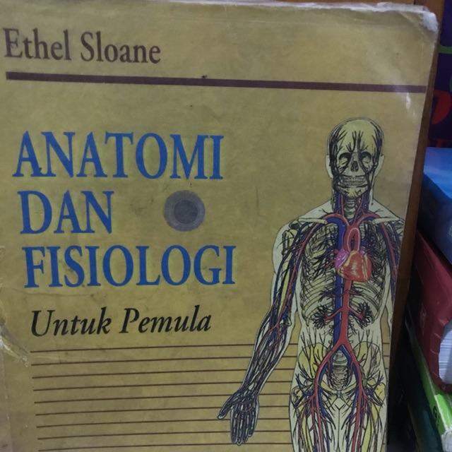 Anatomi dan Fisiologi untuk pemula