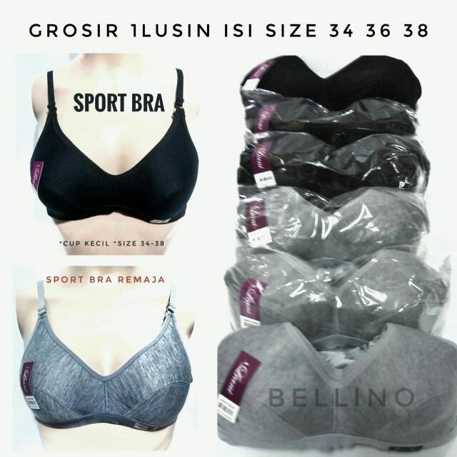 1lusin Sport Bra Remaja Grosir Size Seri 34 36 38