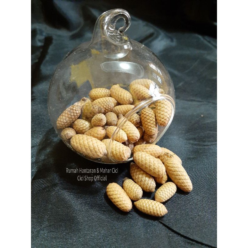 1pc Biji rotan lonjong/biji rotan/biji rotan bulat/buah rotan lonjong/biji rotan kapsul