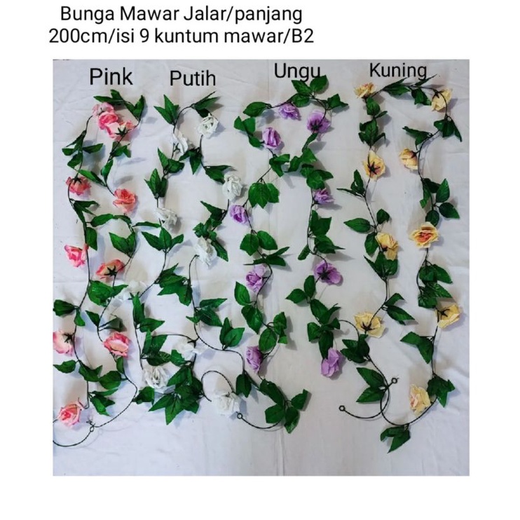 Bunga Mawar Jalar