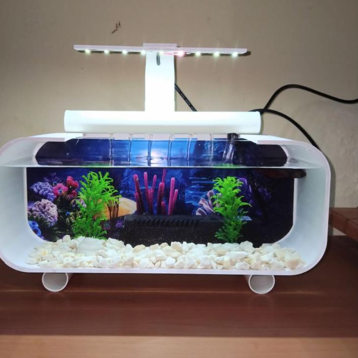 Paling Laris Aquarium Akrilik Fullset Pompa Filter Sirkulasi / Aquarium Unik / Aquarium Ikan Hias / 