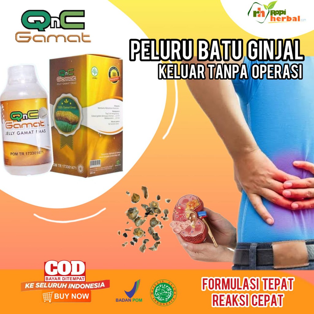 Obat Peluruh Batu Ginjal Kencing Batu Penghancur Batu Ginjal Batu Ginjal Hancur Langsung Keluar
