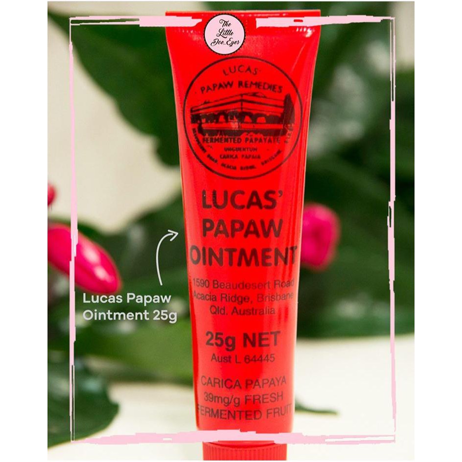 [READY] Lucas Papaw exp 2026 (batch terbaru)