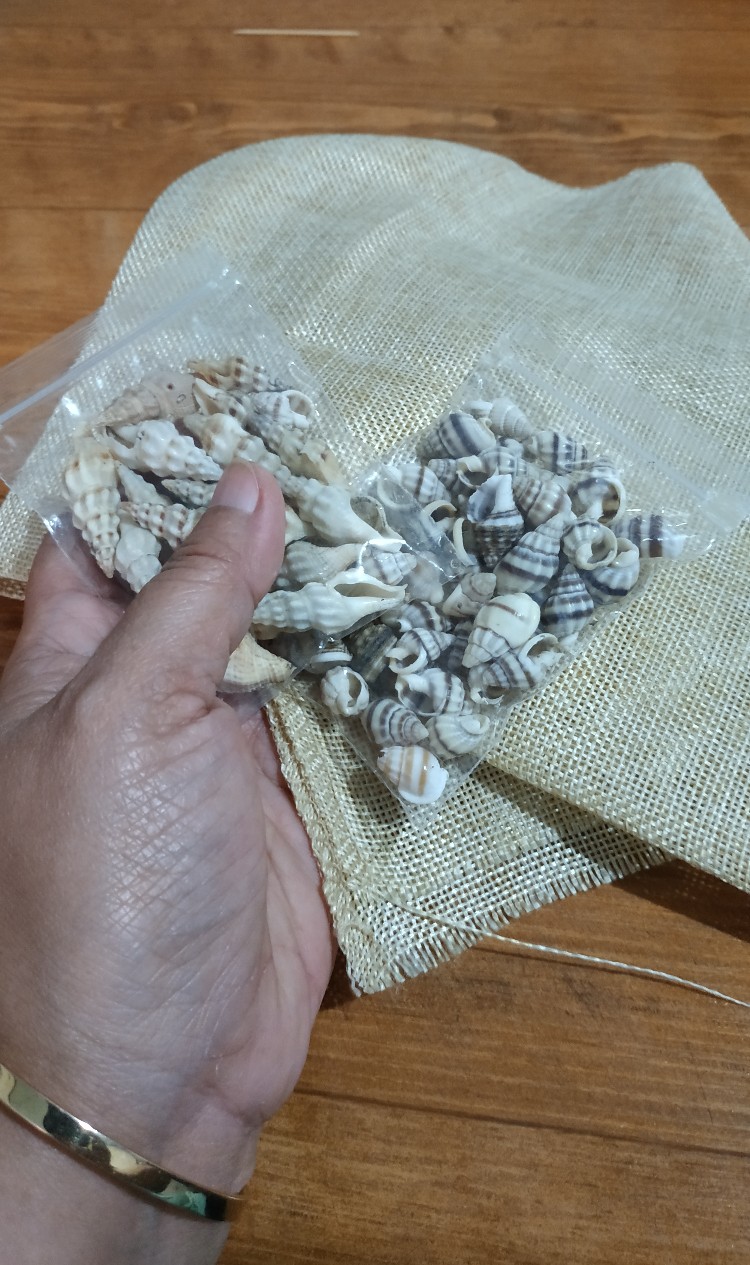 -+50-75pcs Kulit Kerang Ice Putih Isi 15gram - Kulit Kerang Craft