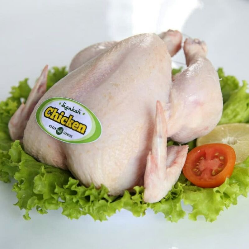 BERKAH Chicken Ayam Organik 1 Ekor Halal