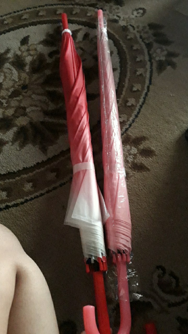 Payung Tongkat List Pastel Polos . Simple Beautiful Umbrella