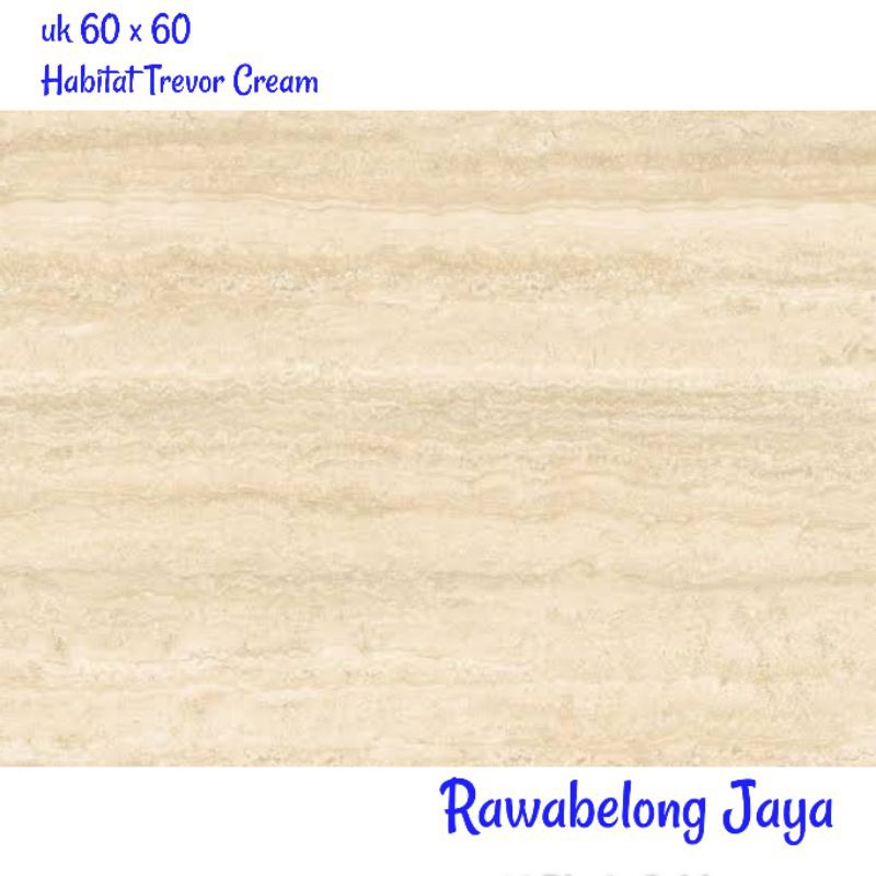 Granit 60x60 Habitat Trevor Cream