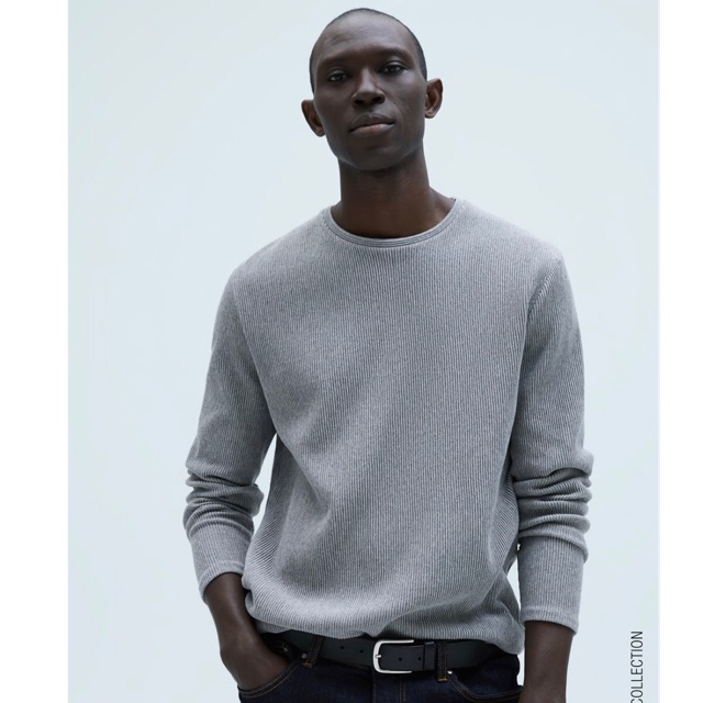 Sweater Man Zara