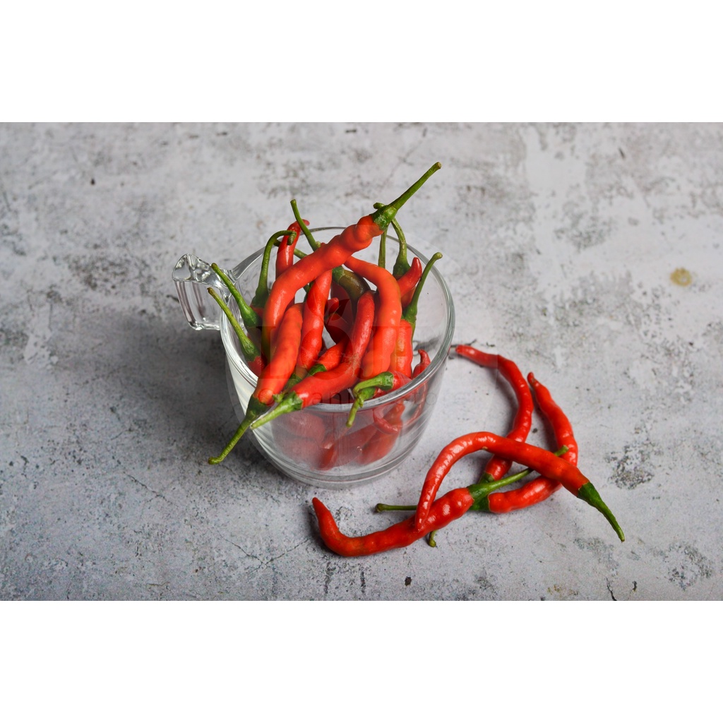 

Cabe Keriting Merah Organik - Lojin Organic Store