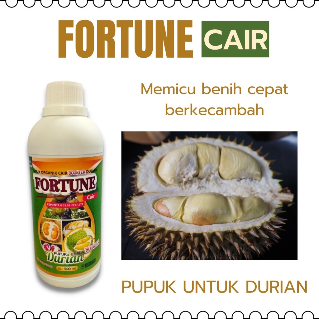 PUPUK DURIAN CEPAT BESAR DAN BERBUAH, PUPUK DURIAN MONTONG, FORTUNE PUPUK CAIR DURIAN