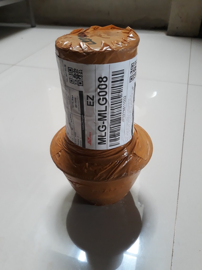 Bibit Aglonema Legacy Mangkok 2-3 Daun