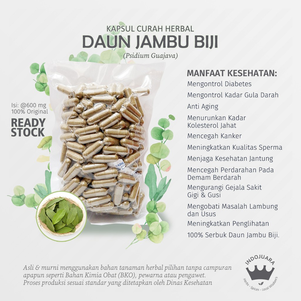 

DAUN JAMBU BIJI Guava 200 x 600mg Kapsul Curah Herbal Diabetes Kolesterol Rambut Rontok Anti Aging