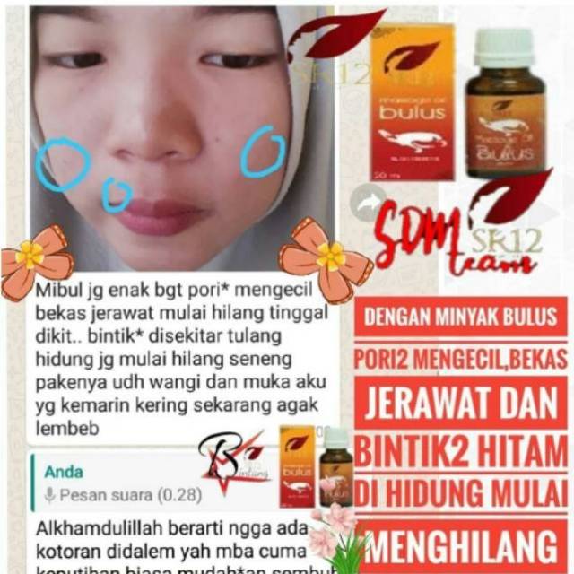 Best Seller Minyak Bulus Sr12 Minyak Bulus Original Minyak Bulus Ampuh Shopee Indonesia