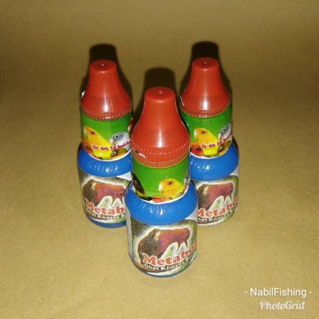 Vitamin burung Metabolism / Metabolis